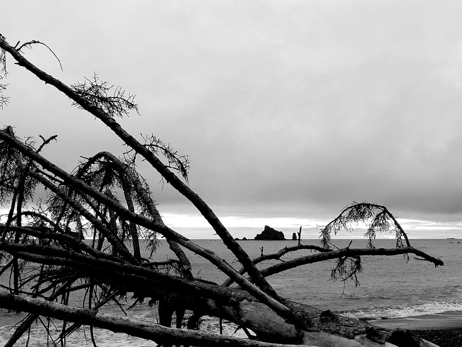 Mount Rainier 2012 336