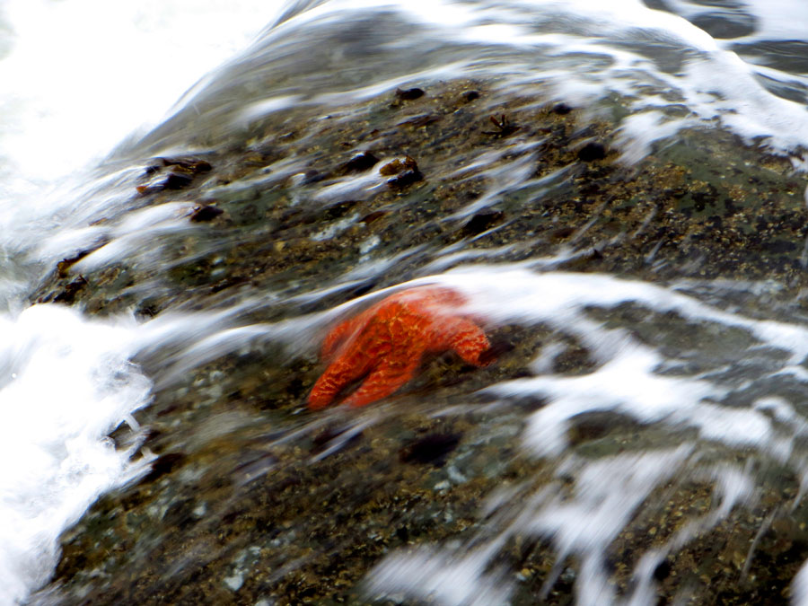 Mount Rainier 2012 348